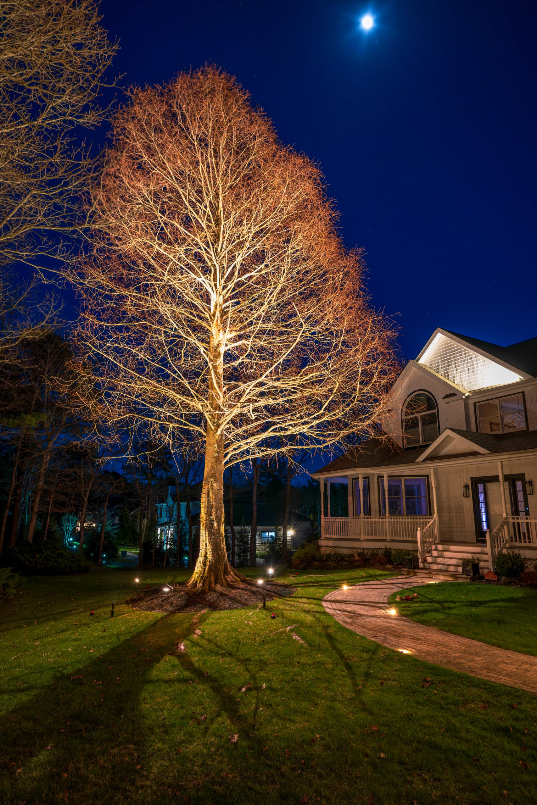 Long Island home with tree uplighting and landscape lighting at night