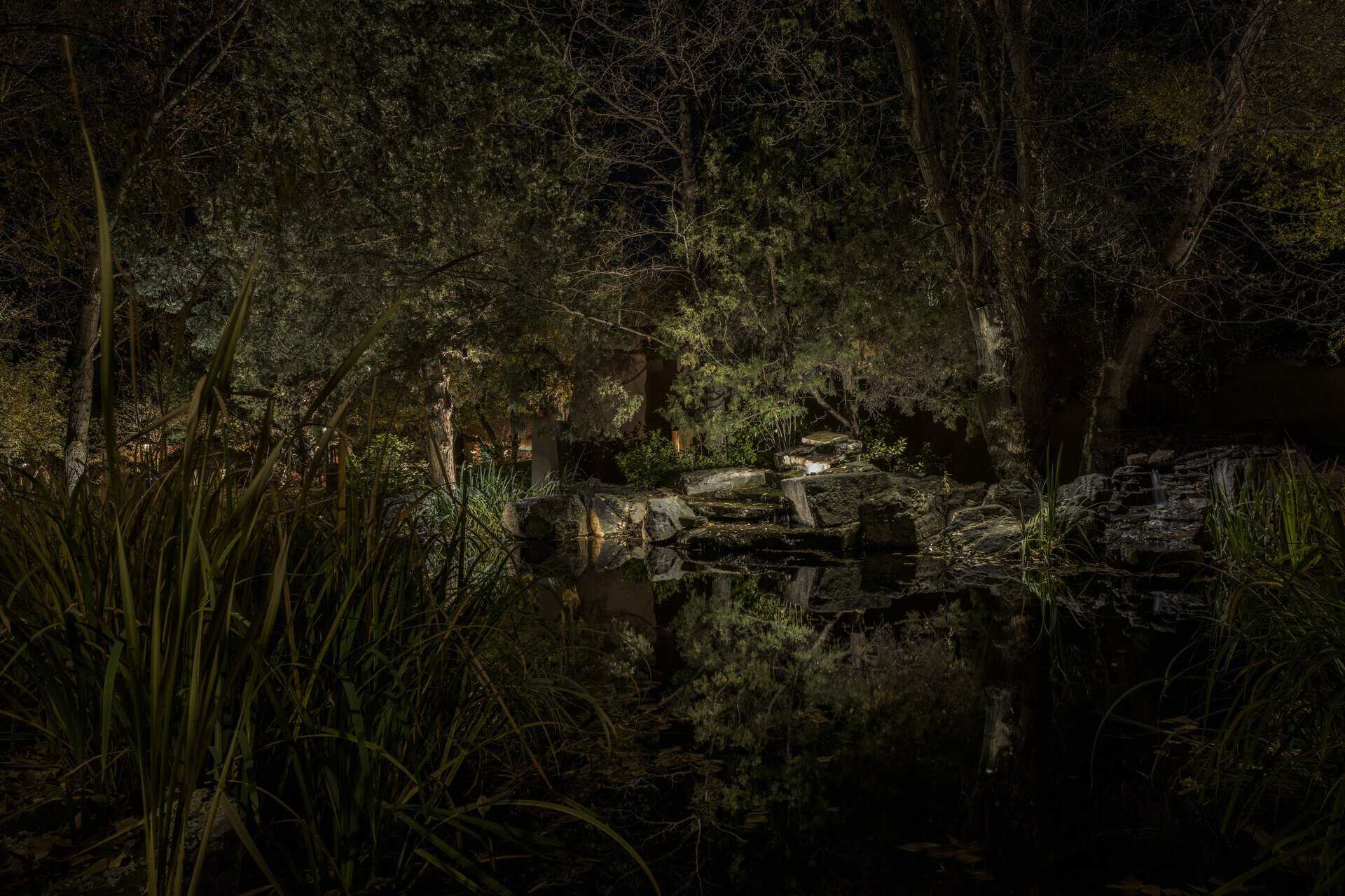 Long Island outdoor lighting around a landscape pond and waterfall