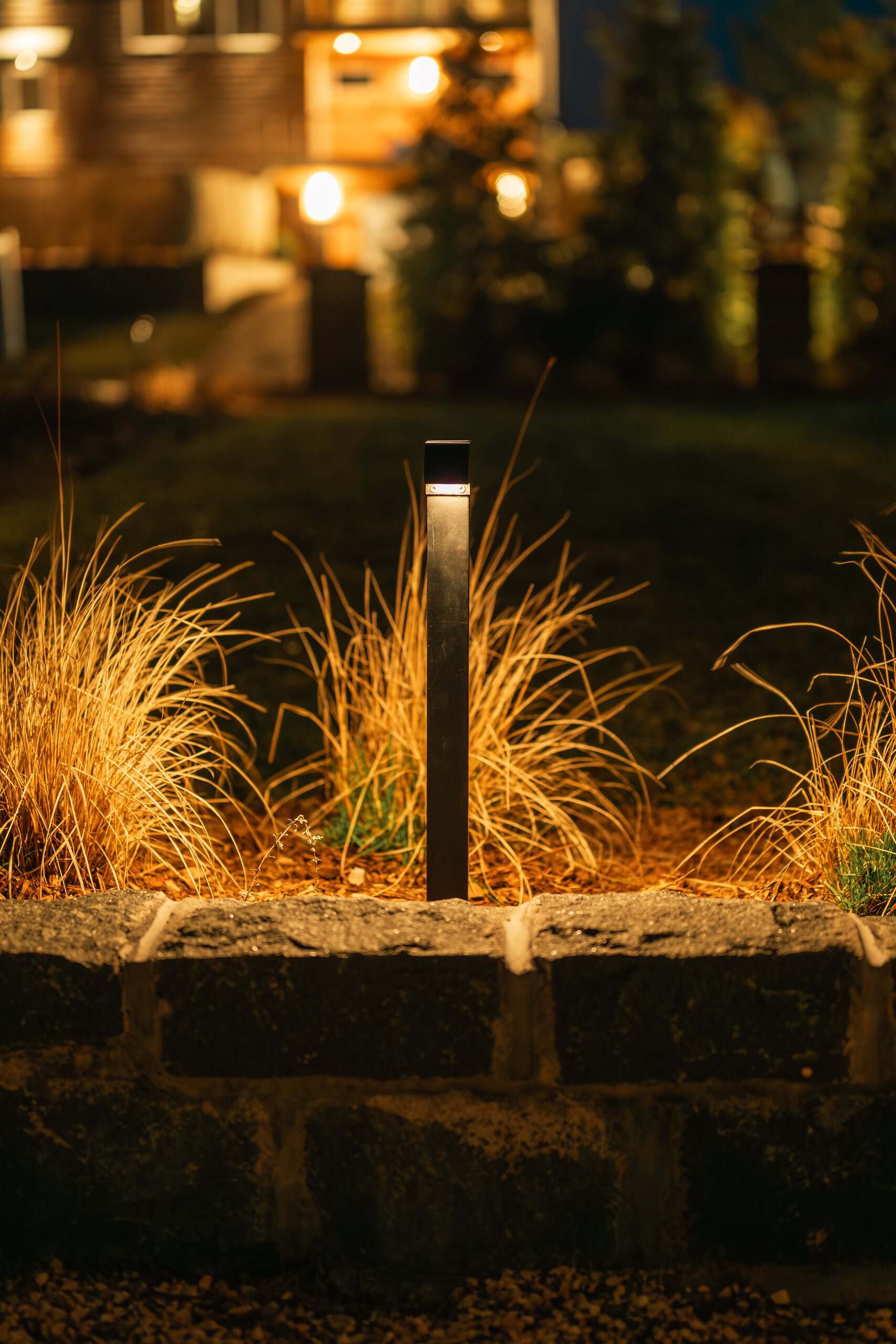 Ornamental grass lighting for a Long Island landscape