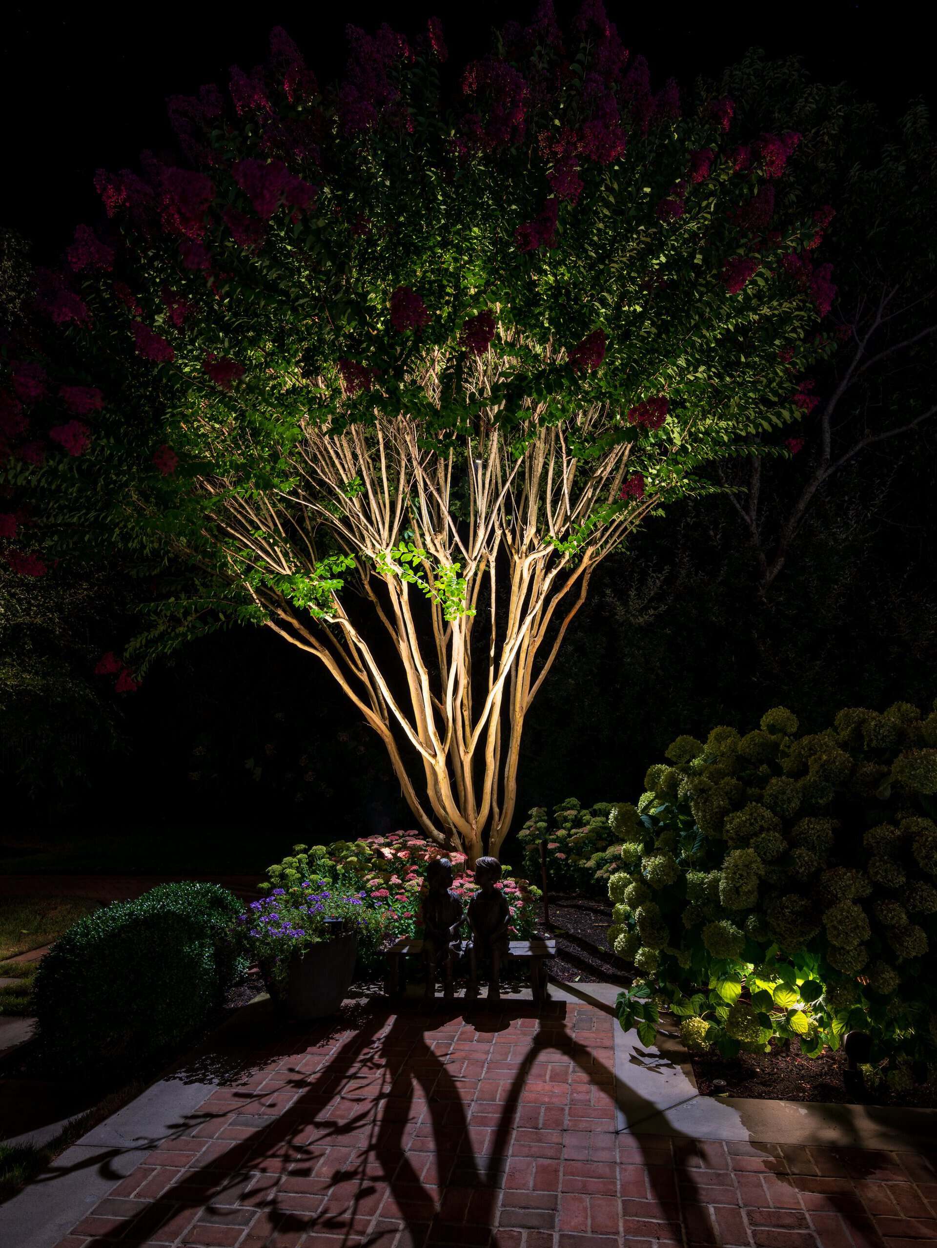 Patio tree uplighting for a Long Island outdoor living space