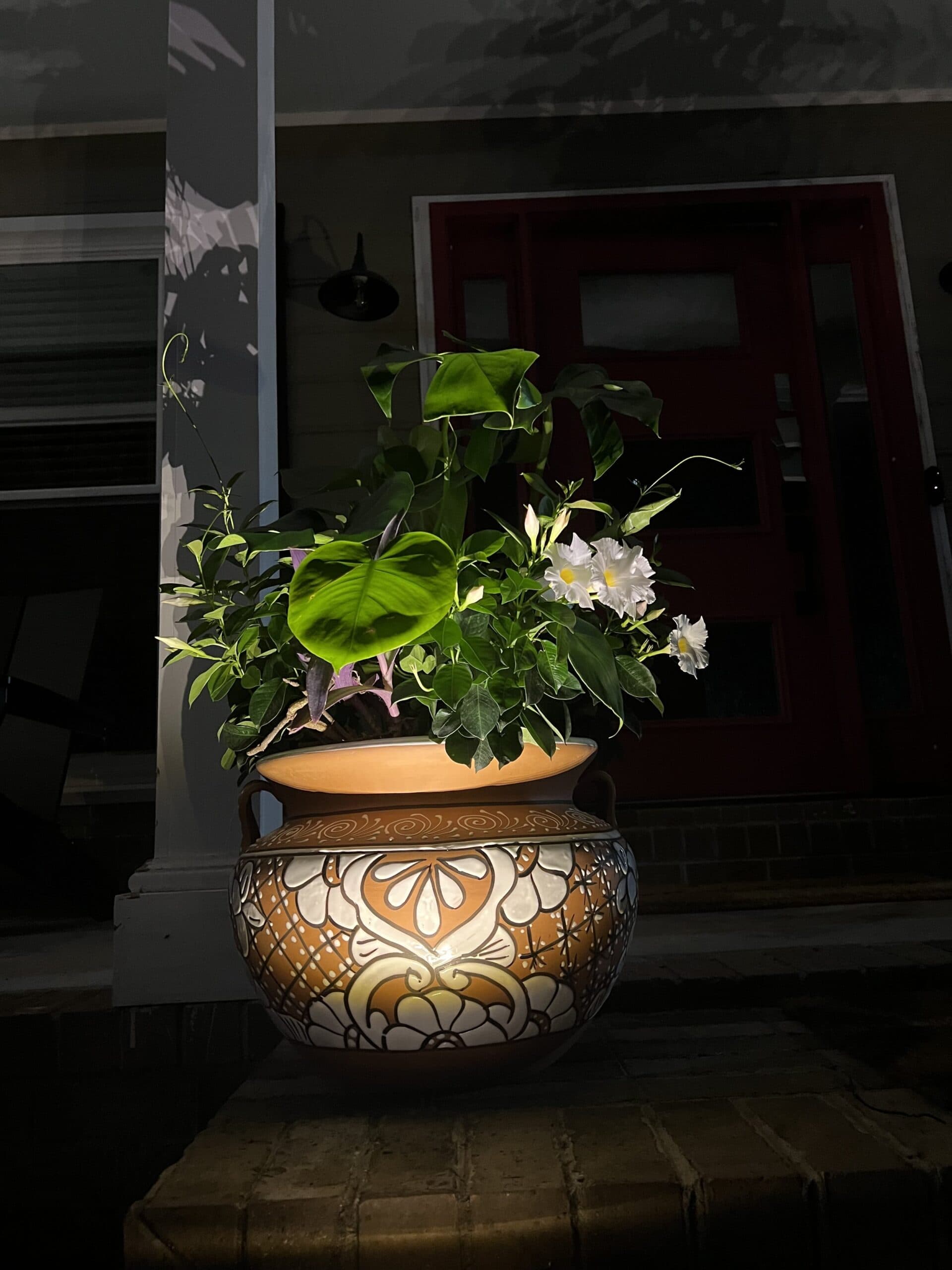 Night Scene Lighting
