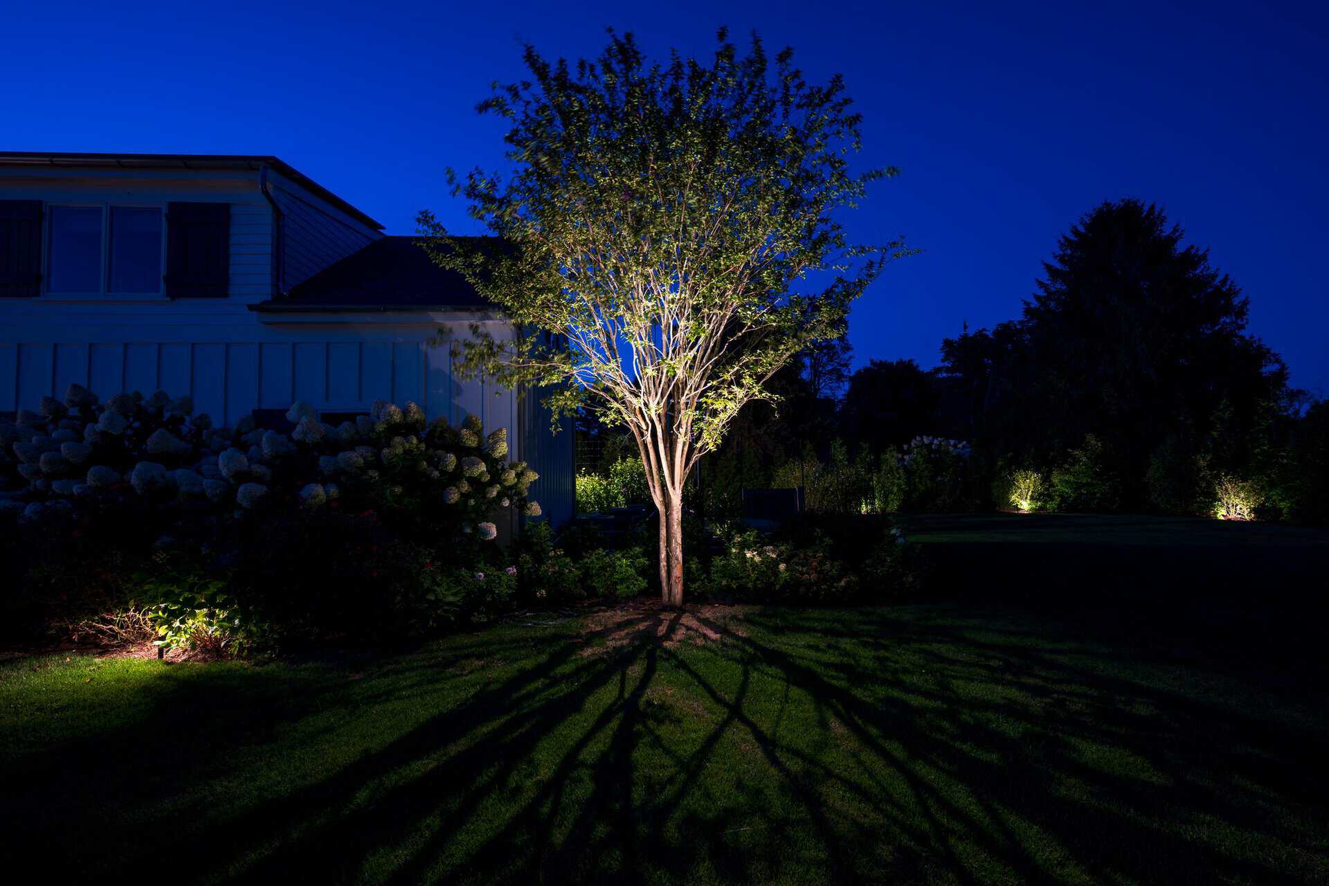 Tree uplighting for a Long Island outdoor lighting project